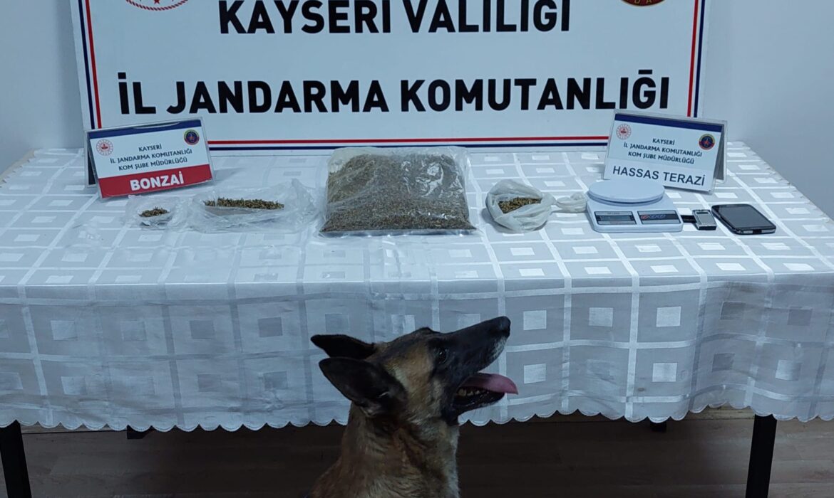 Narkotik köpeği ile uyuşturucu operasyonu: 1 gözaltı
