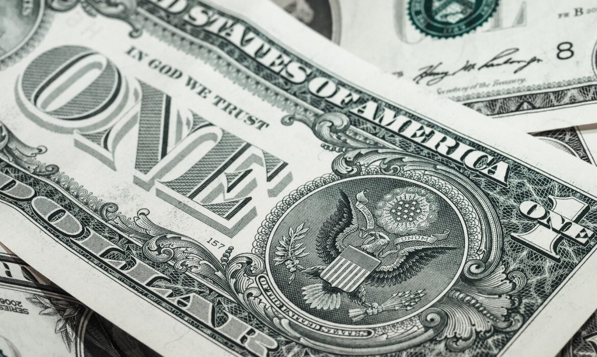 Dolar, serbest piyasada yılın rekor seviyesine ulaştı