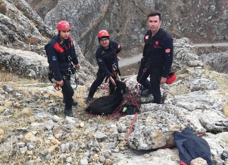 Uçurumda mahsur kalan keçi, 3 saatlik çalışmayla kurtarıldı