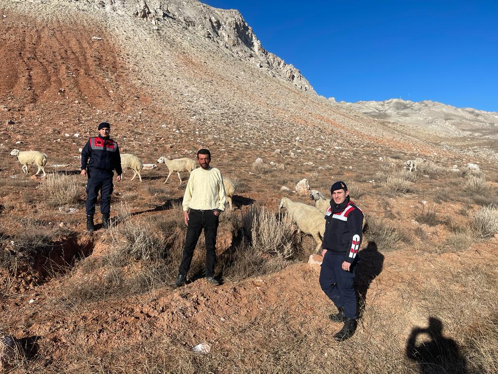 Kaybolan 25 koyun bulunarak sahibine teslim edildi